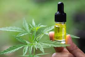 employing CBD oil for Pain